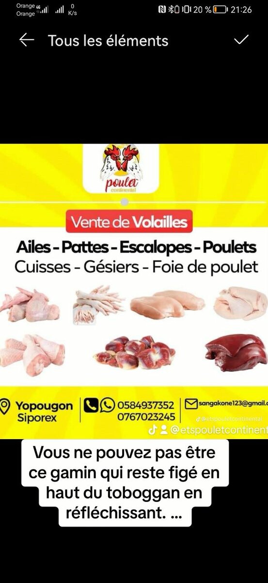 Poulet de chair et pondeuse