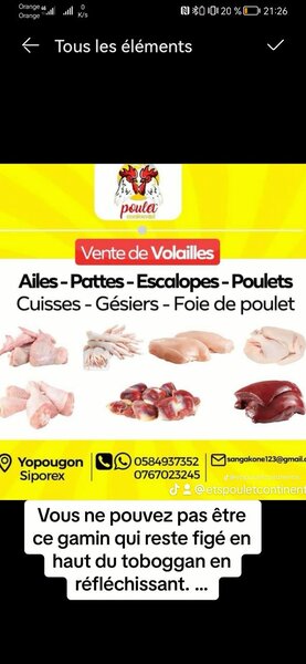 Poulet de chair et pondeuse