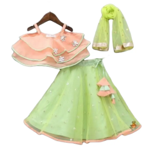 baby girl dress ( Size 1 Yrs To 16 Yrs) ( Fabric Net And Chamki)