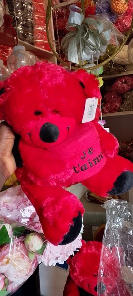 Peluche Ours Rouge Amour