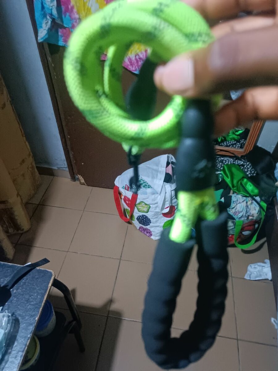 Laisse réfléchissante pour chiens