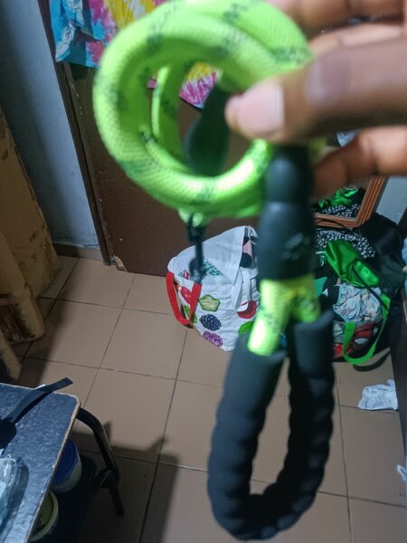 Laisse réfléchissante pour chiens