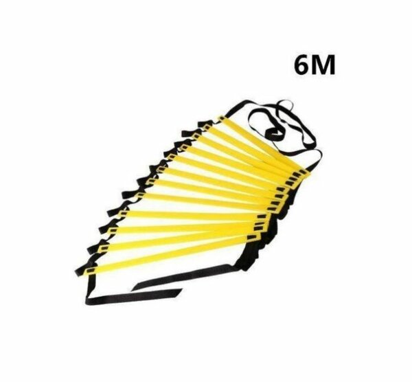 Échelle d'entraînement 6M