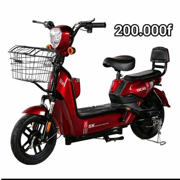 E-bikes élégants et performants