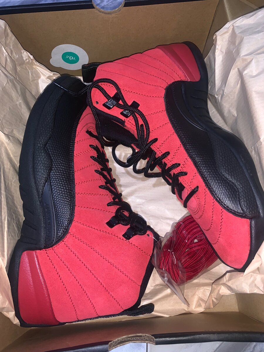 Air Jordan Retro 8 and 12