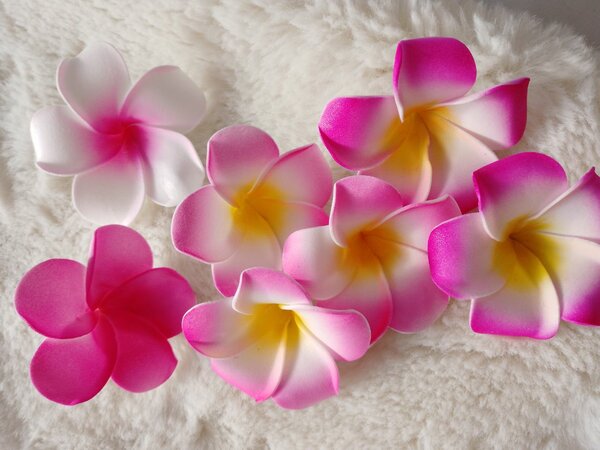 Pinces en fleurs pour cheveux