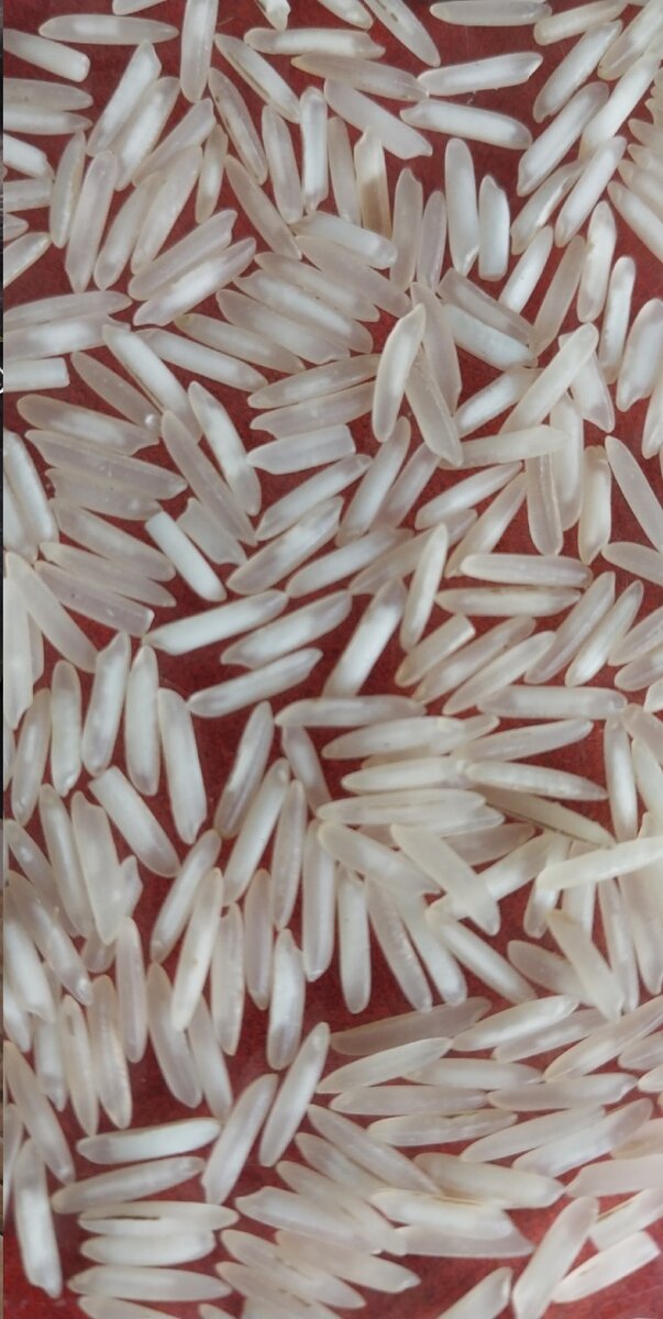 Zafrani Pure 1121 Kainat XXXL