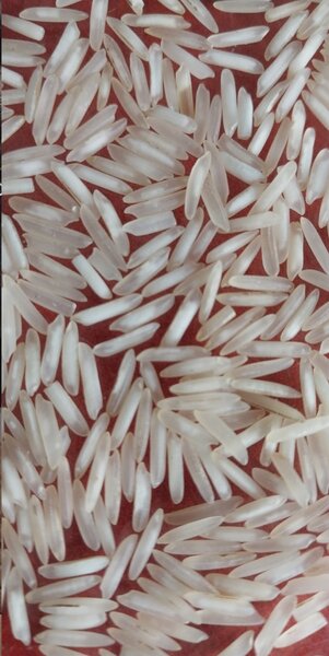 Zafrani Pure 1121 Kainat XXXL