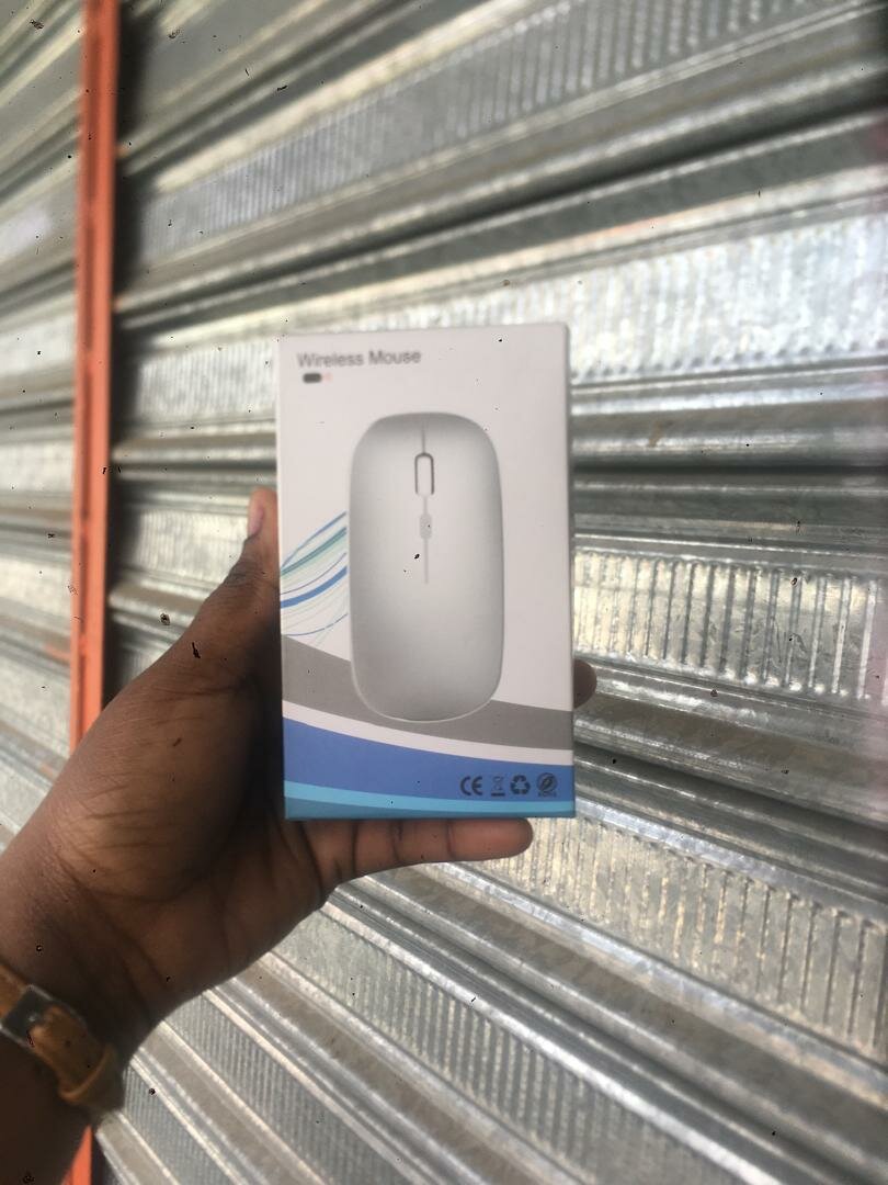 Souris sans fil ergonomique