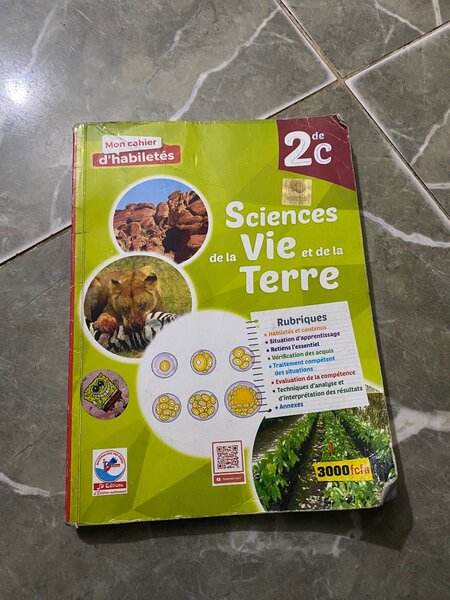 Lot de manuels scolaires 2e c