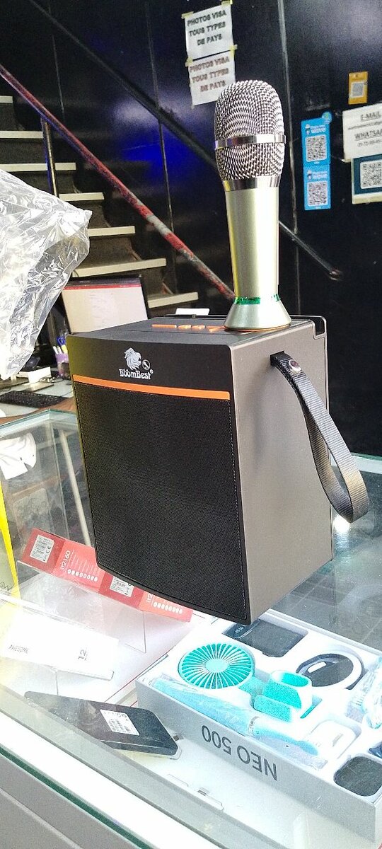 BoomBest Système Karaoke Sans Fil