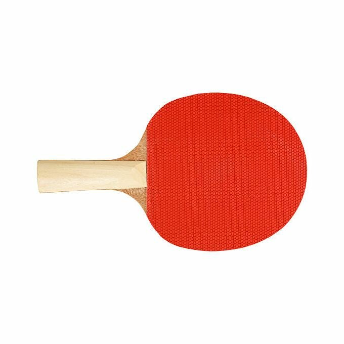Raquettes Tennis de Table