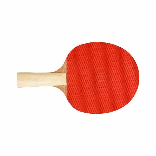 Raquettes Tennis de Table