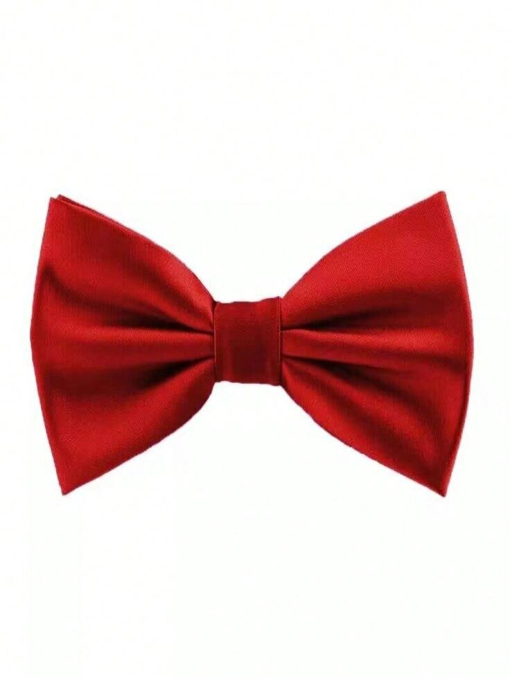 Noeud Papillon Classique Homme