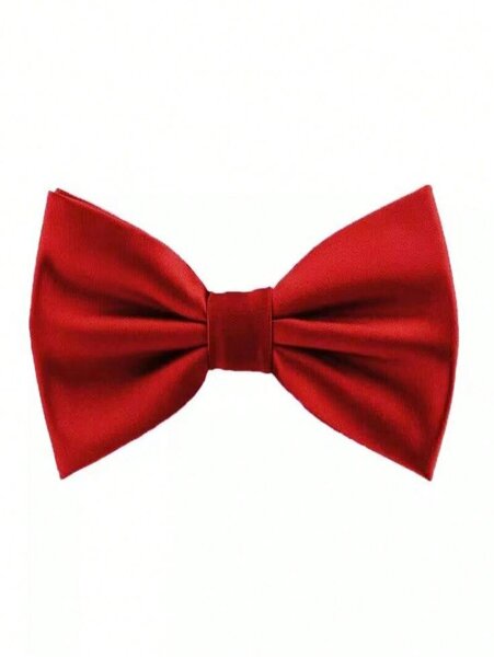 Noeud Papillon Classique Homme