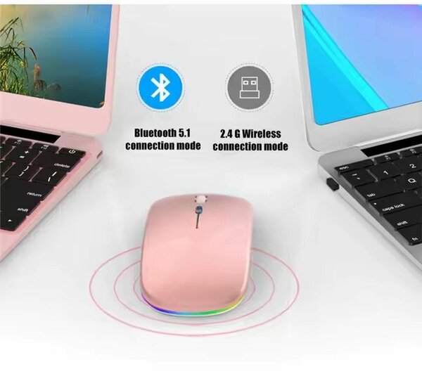 Souris Ergonomique TYPE-C