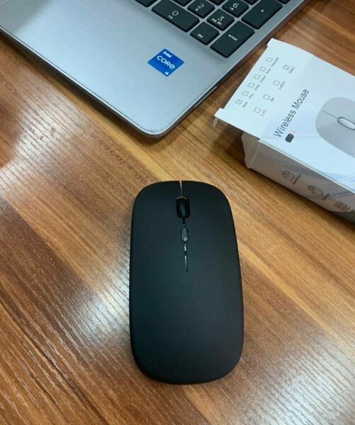 Souris sans fil ergonomique