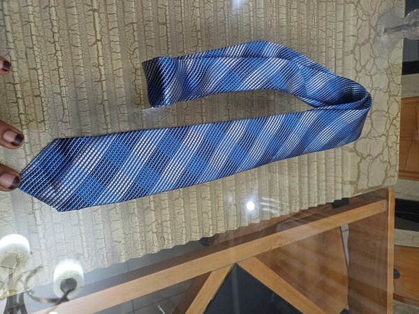 Cravates élégantes pour hommes