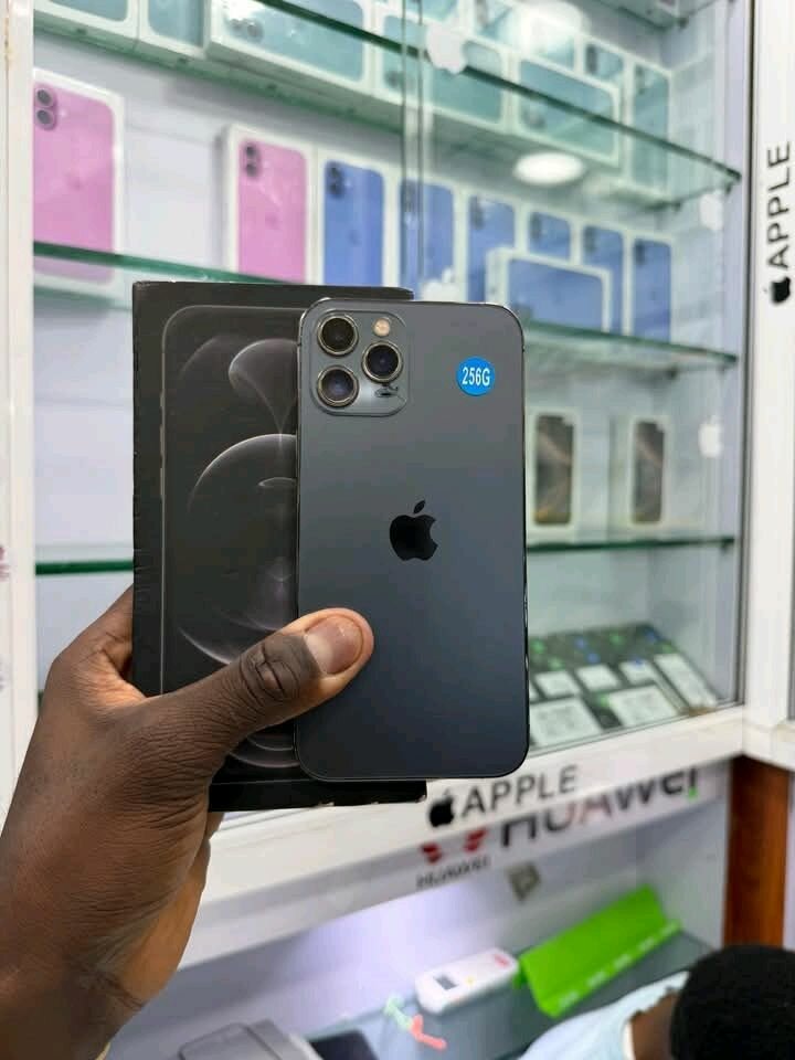 iPhone 12 Pro 256 Go