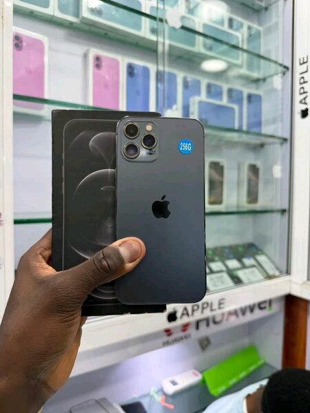iPhone 12 Pro 256 Go