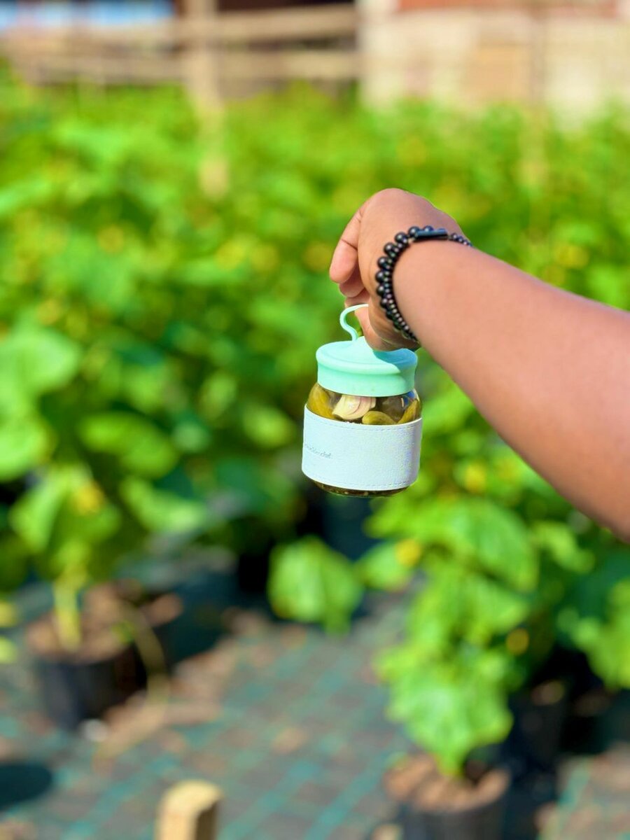 Cornichons naturels detox