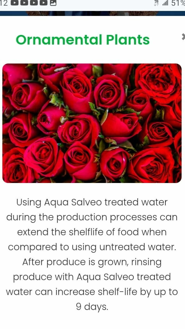 Aqua Salveo 10 mls/ 30 mls