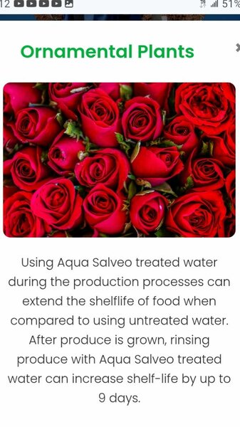 Aqua Salveo 10 mls/ 30 mls