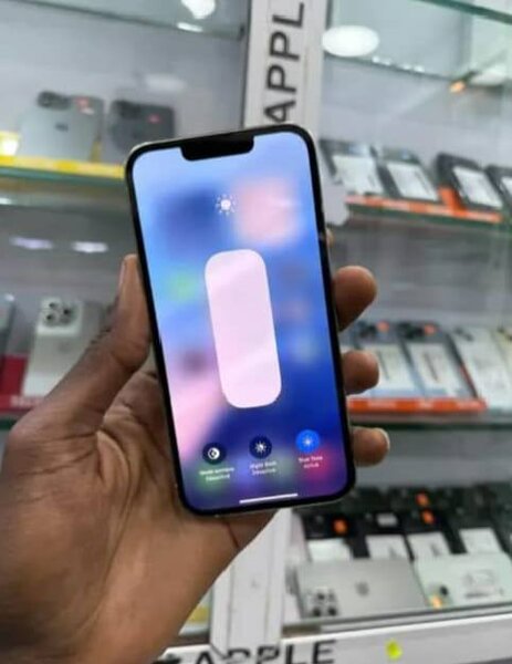 iPhone 13 Pro Max Blanc 128Go