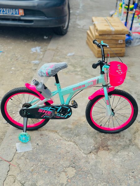 Vélo Enfant Rose et Bleu
