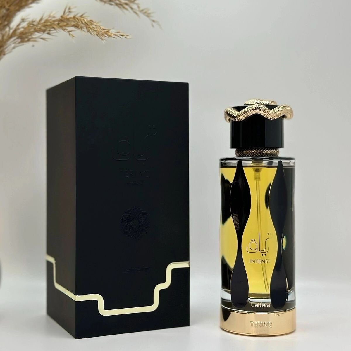 Parfum Lattafa Teriac Intense