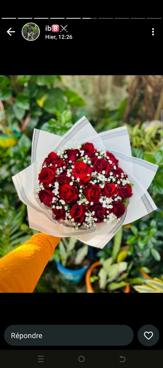 Bouquet de roses rouges