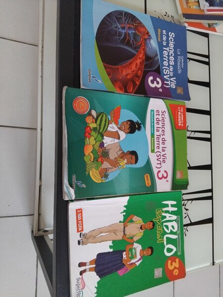 Lot de manuels scolaires 3e