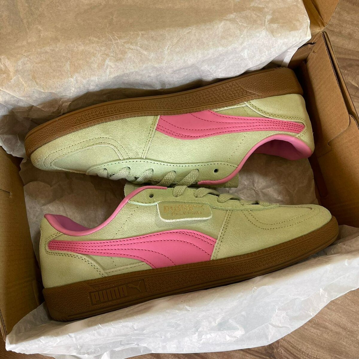 Puma Palermo