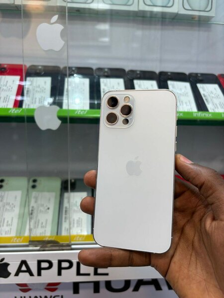 iPhone 12pro 256go quasi neuf