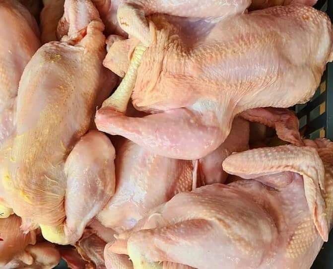 Poulets de chair local