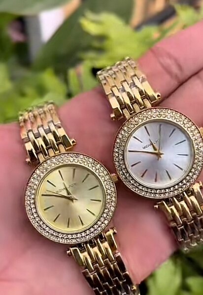 Montres en acier doré élégantes