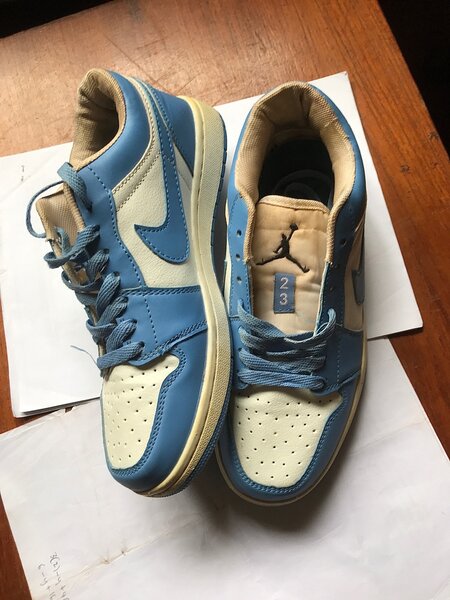 Thrifted Air Jordan 1 low cut