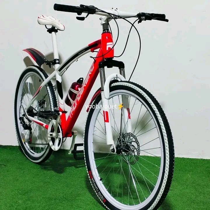 Vélo de montagne robuste