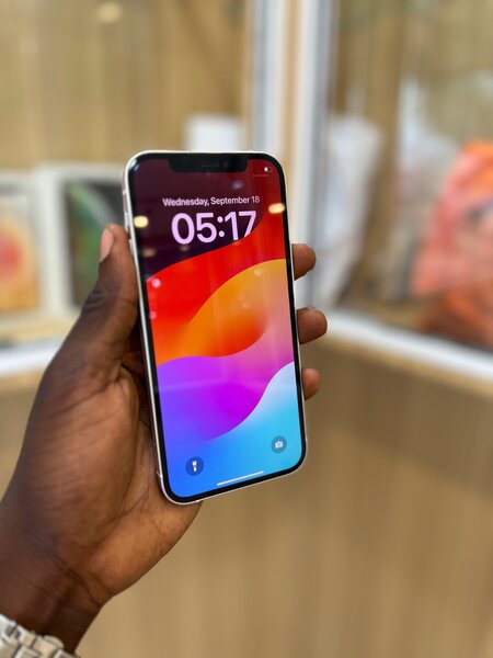 12 SIMPLE ( 64G COLIS )