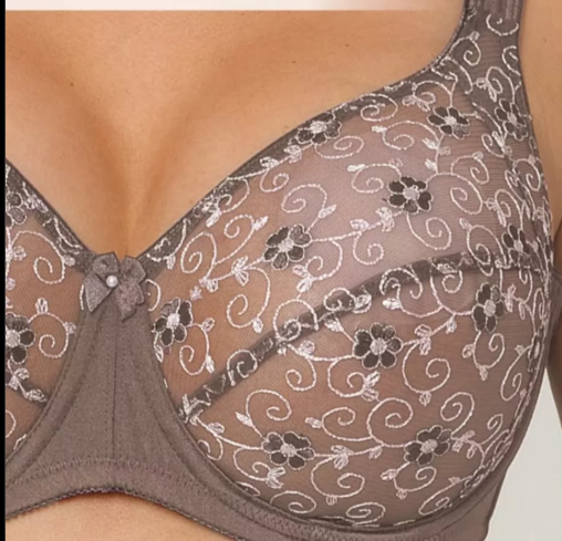 Полупрозрачный сетчатый бюстгальтер с элегантной вышивкой на сетке. 