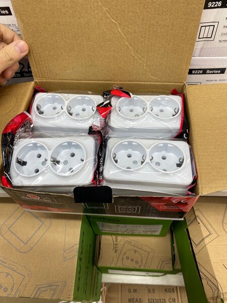 Lion Electric