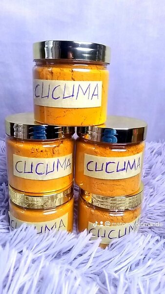 Curcuma en pot organique