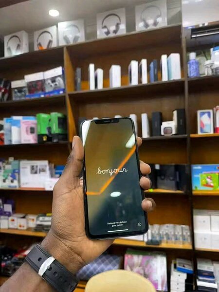 iPhone 11 Pro Max Gris