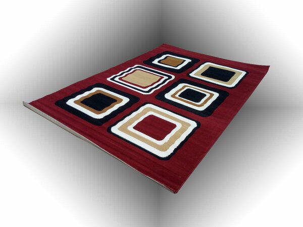 Tapis de Salon