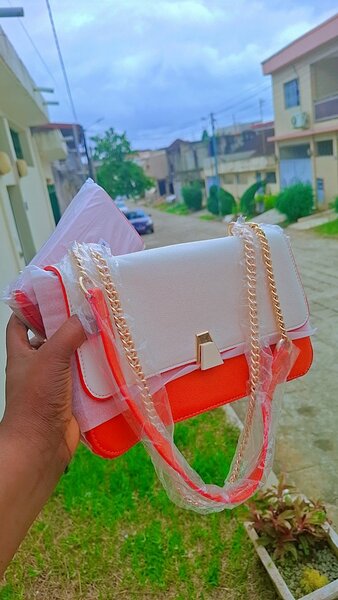Sac élégant femme