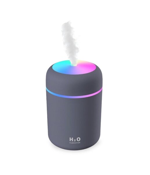 Chargeable air fresher