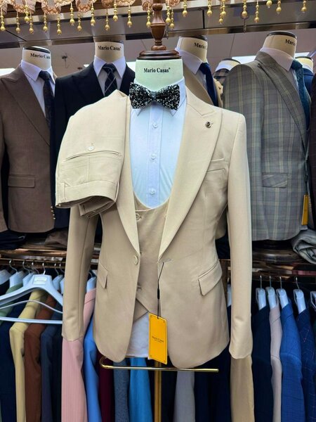 Costume élégant pour hommes