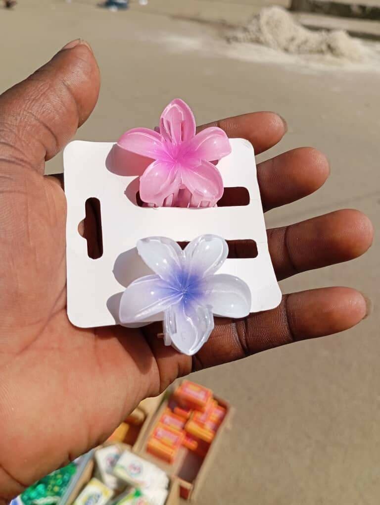 Clips à fleurs colorées