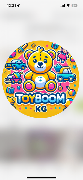 toyboom.kg
