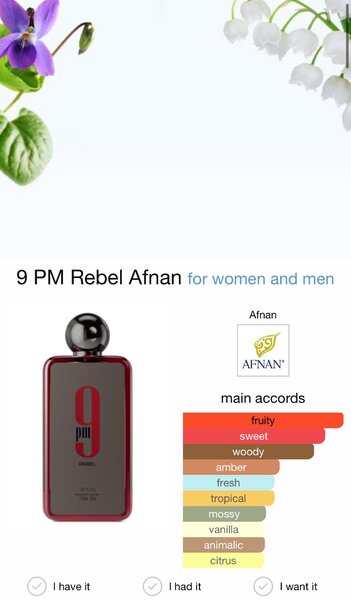 AFNAN REBEL